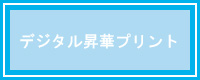 メディカルカタログ